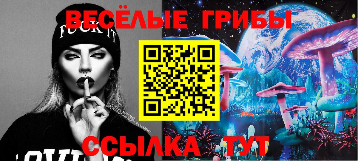 Галлюциногенные грибы MAGIC MUSHROOMS Владикавказ